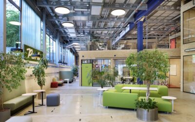 Die Zukunft der Arbeit: Activity Based Working planen und umsetzen