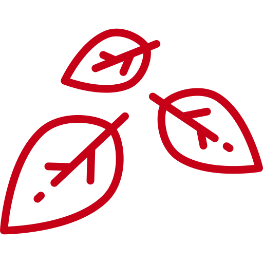 leaves Icon